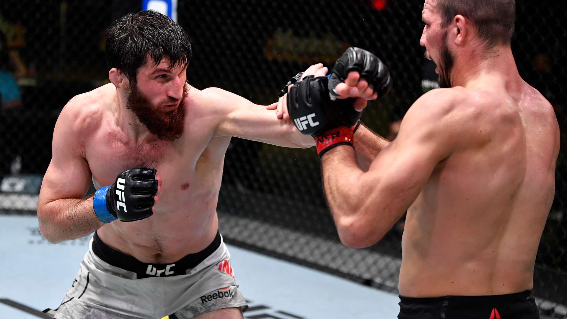 则以出色的 则以出色的